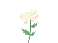640.png